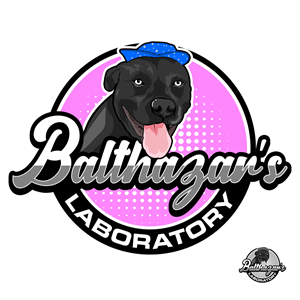 Logo Design by Suvendu.S for this project | Design: #34348831