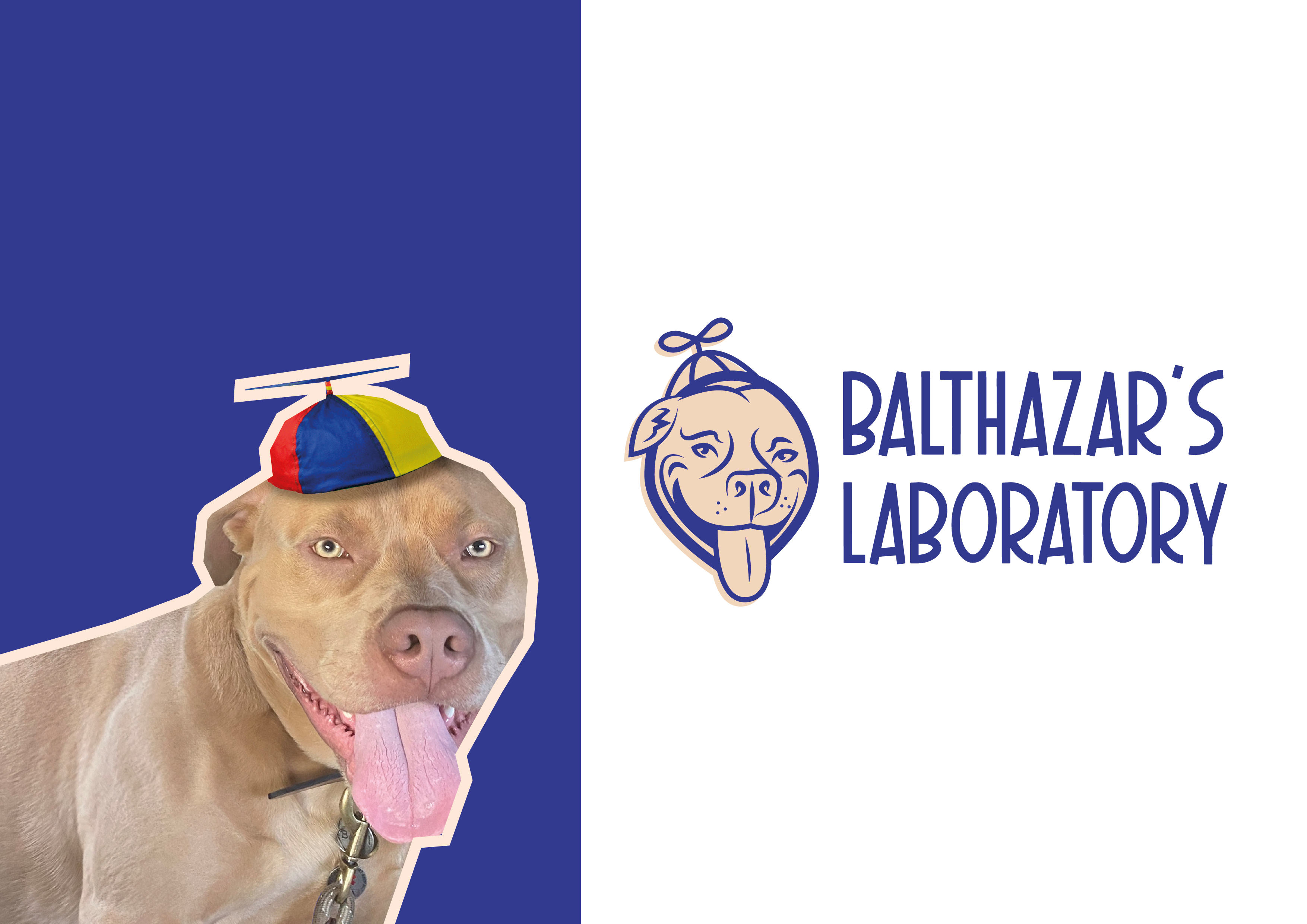 Logo Design by pisagor for this project | Design #34347496