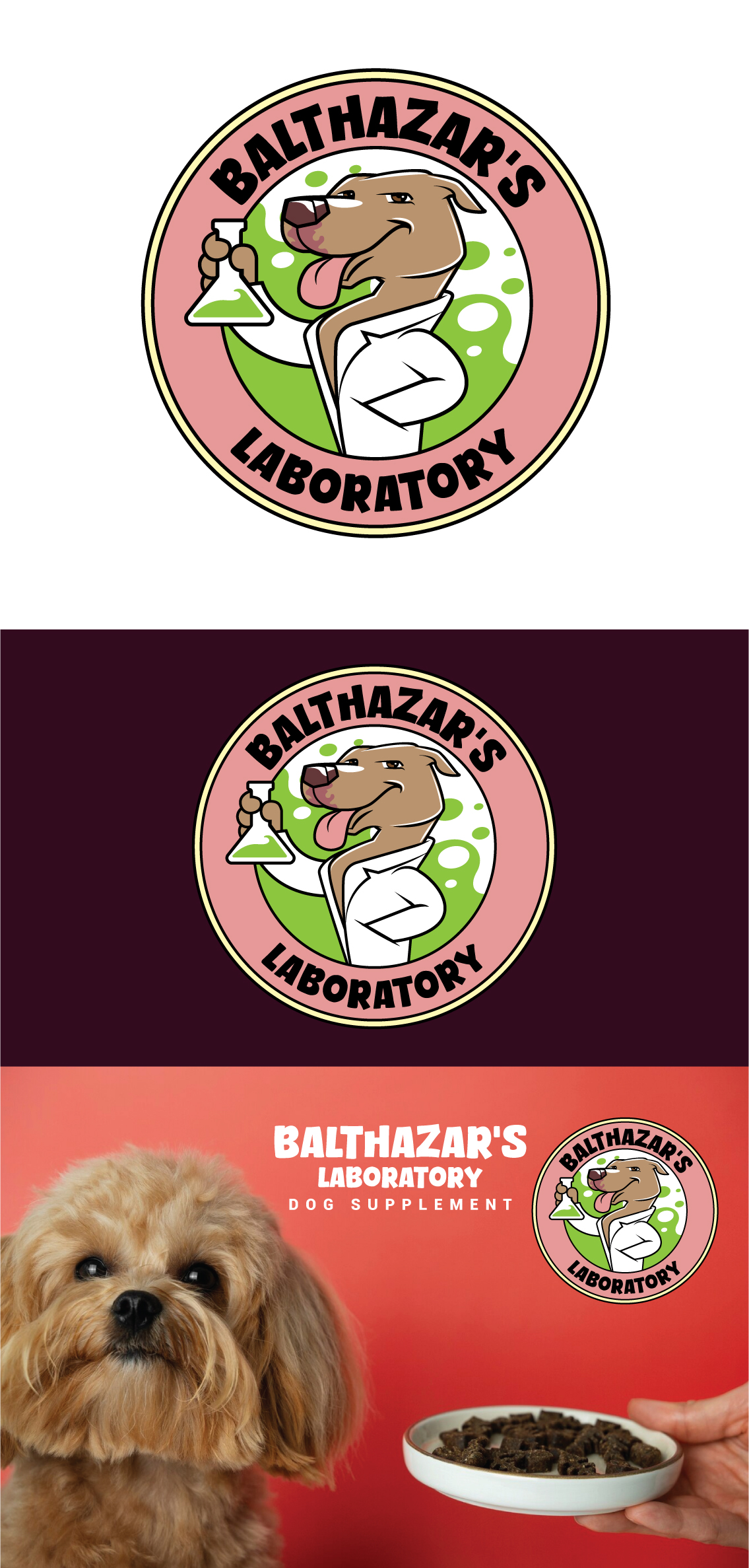 Design de Logo par ally designs pour ce projet | Design #34343329