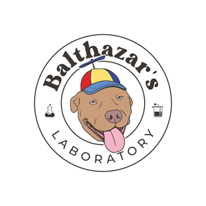 Logo Design by joneerror
