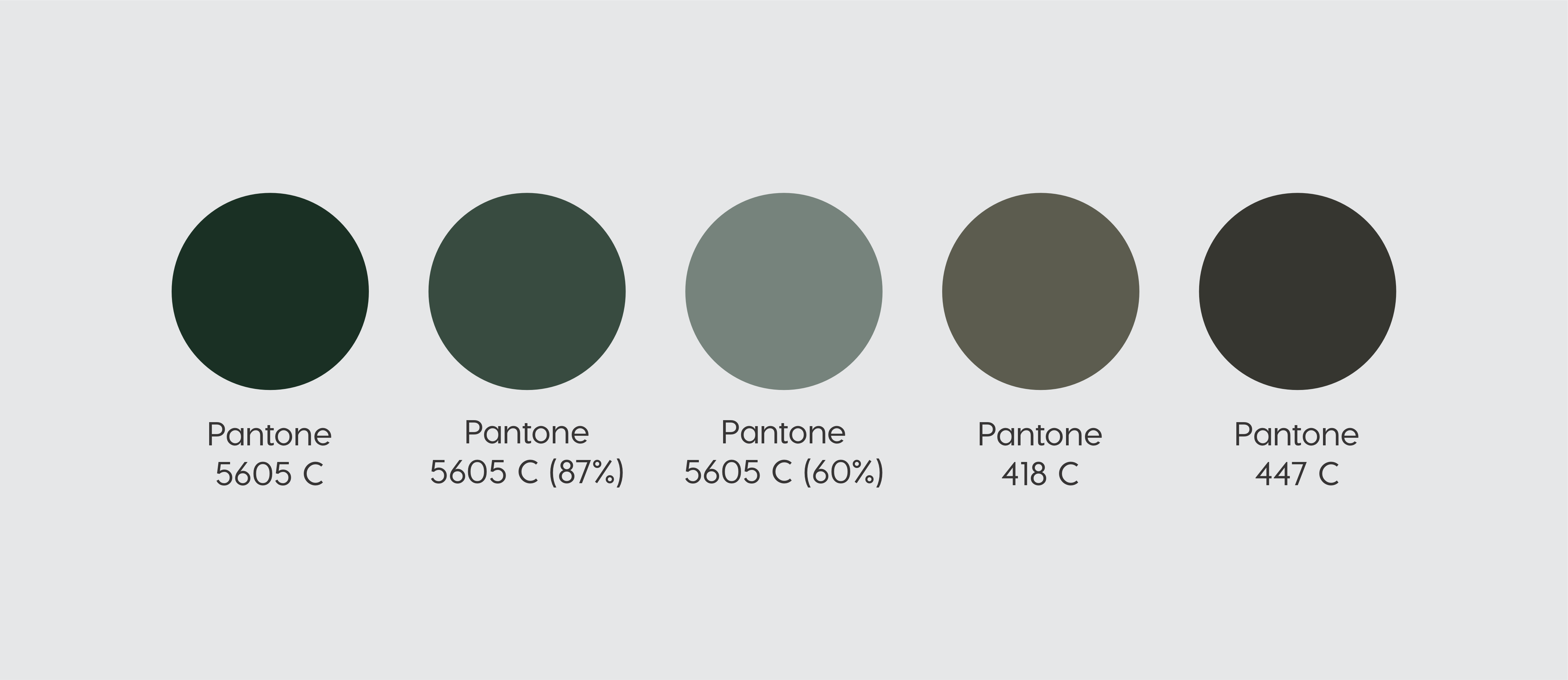 Packaging Design by dadaMEDIA for MS LTD | Design #34390891