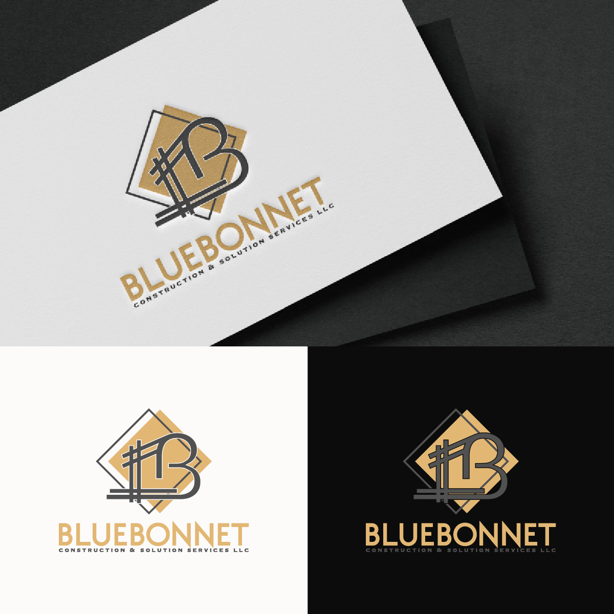 Logo Design by fly  design for this project | Design #34347457