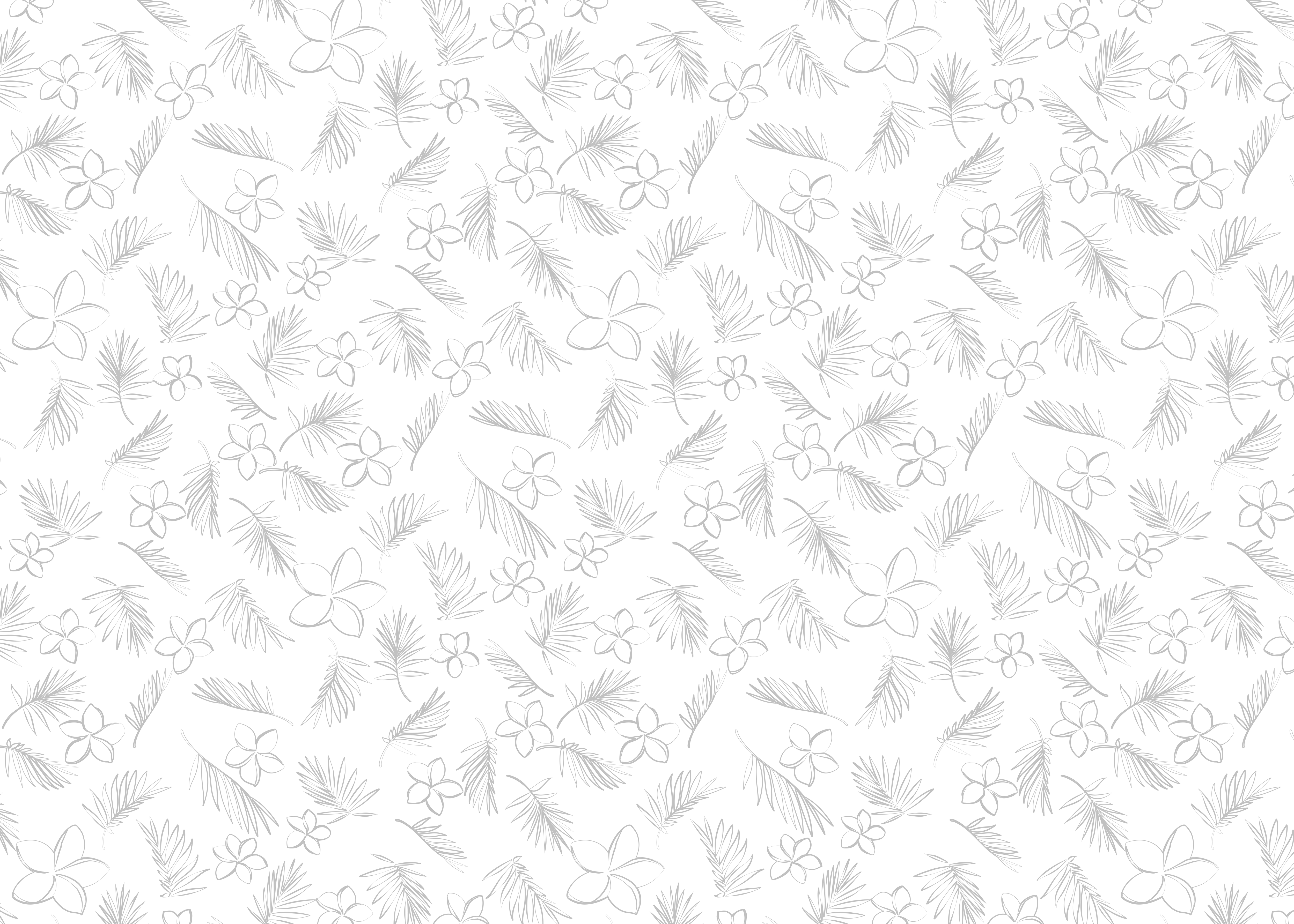 Diseño Gráfico por AZ_Studio para Cotton & Company | Diseño #34349464