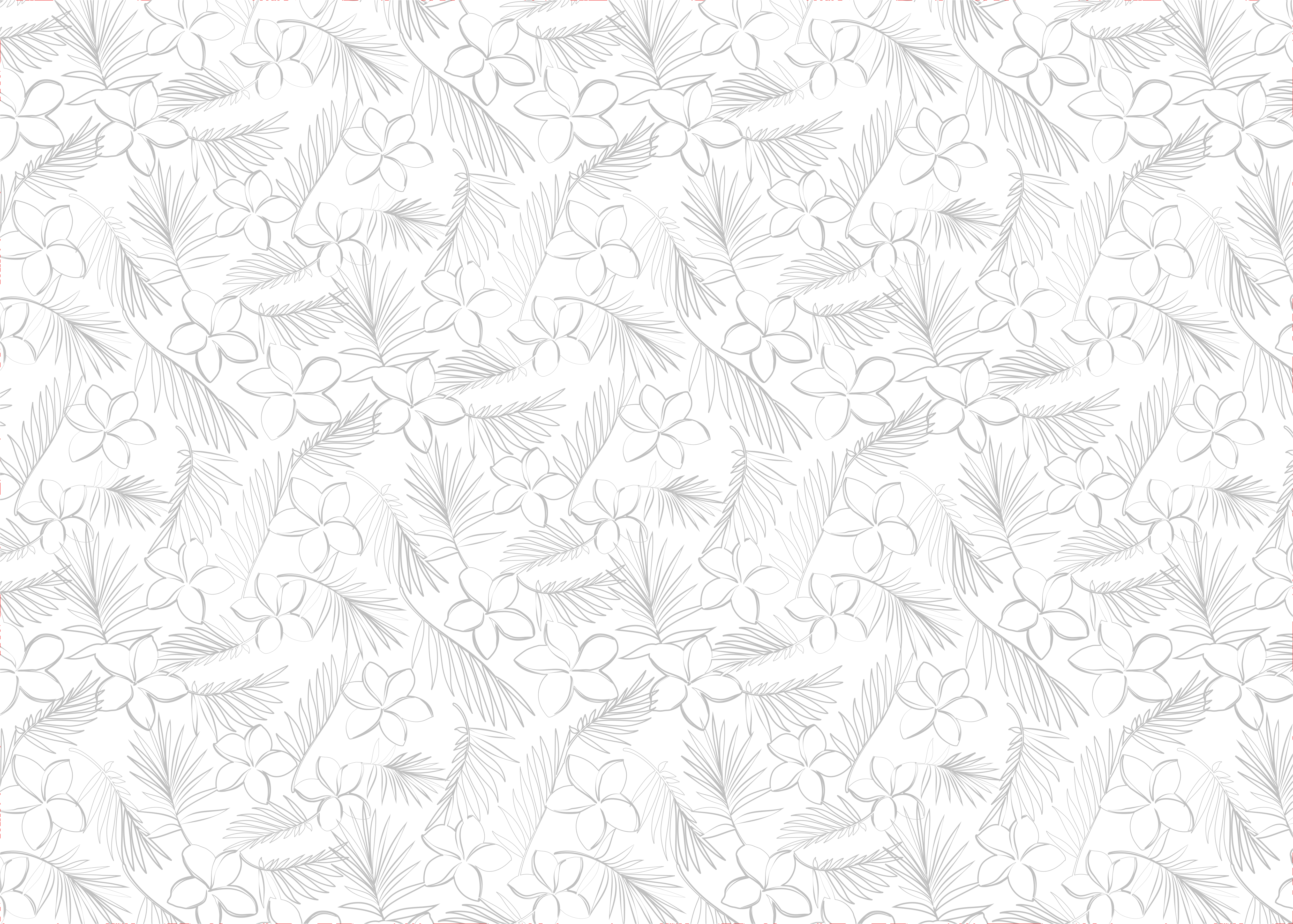 Graphic Design by AZ_Studio for Cotton & Company | Design #34349465
