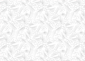 Graphic Design by AZ_Studio for Cotton & Company | Design: #34349465