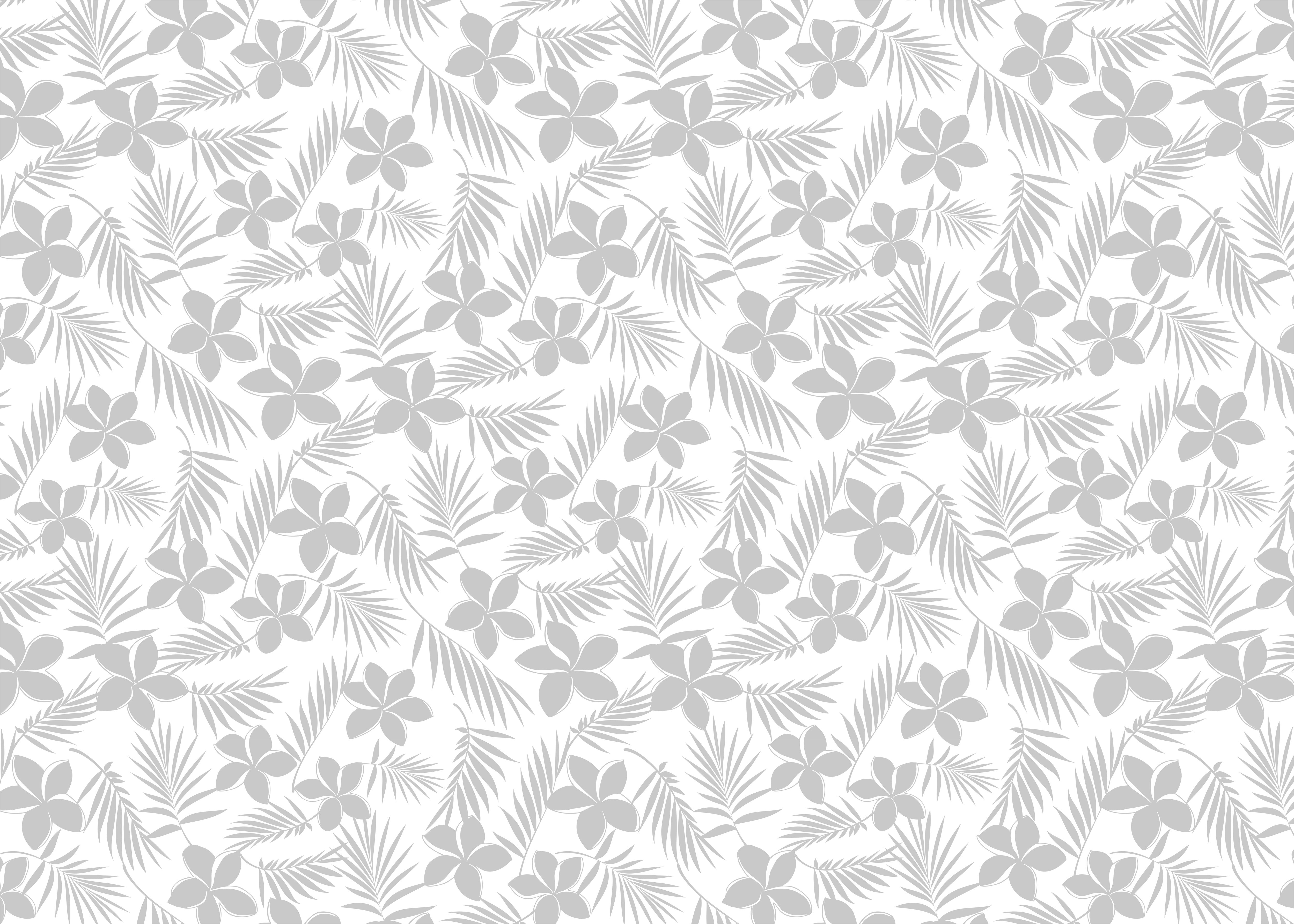 Graphic Design by AZ_Studio for Cotton & Company | Design #34349554