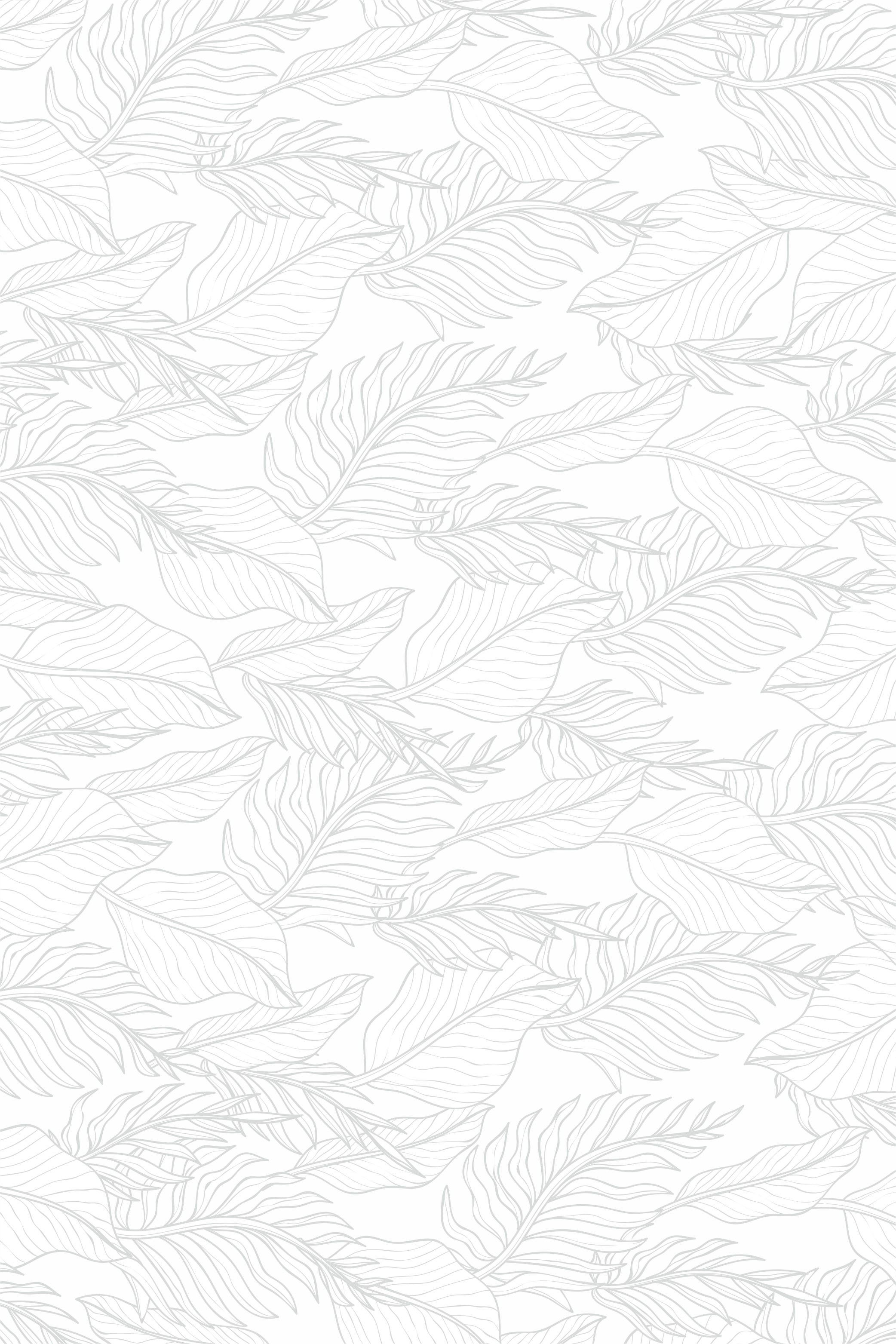 Graphic Design by Maestroto for Cotton & Company | Design #34353251