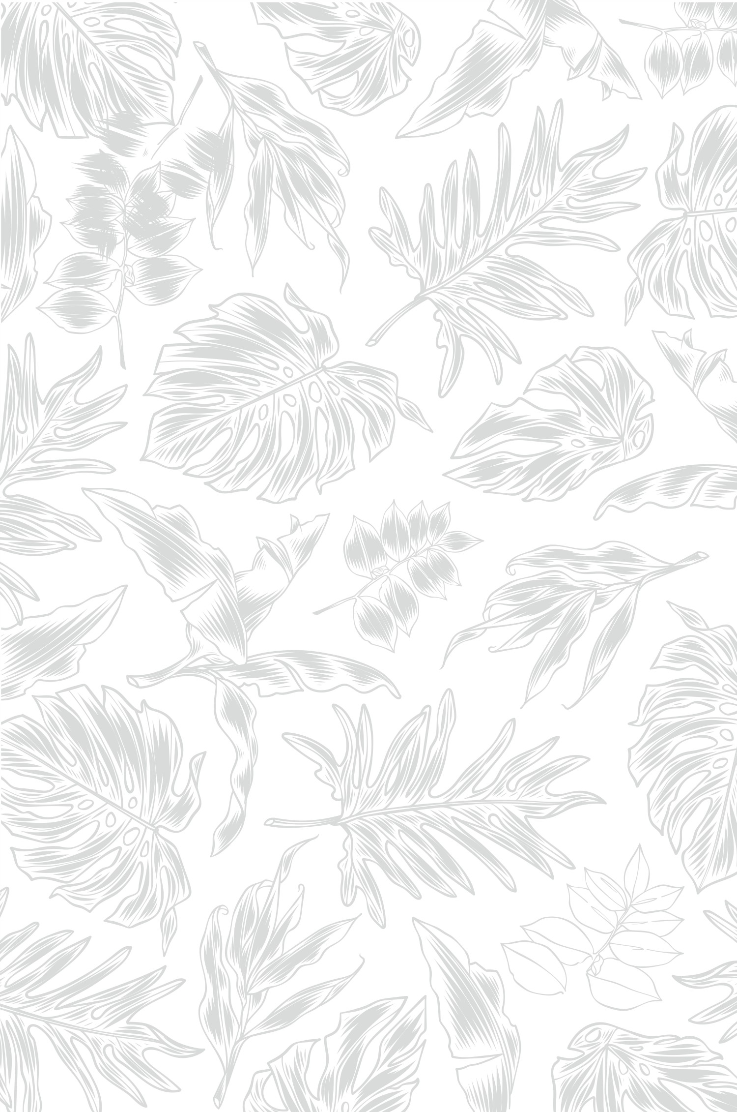 Diseño Gráfico por Maestroto para Cotton & Company | Diseño #34353320