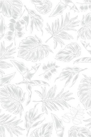 Graphic Design by Maestroto for Cotton & Company | Design: #34353320