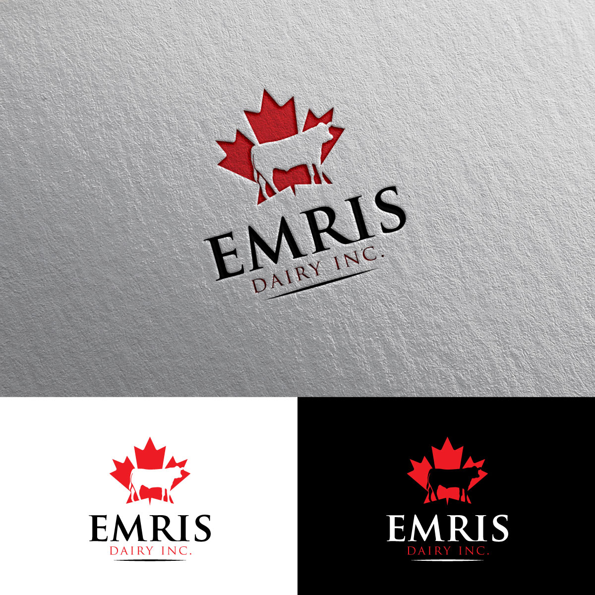 Diseño de Logo por chris Ray para este proyecto | Diseño #34356609