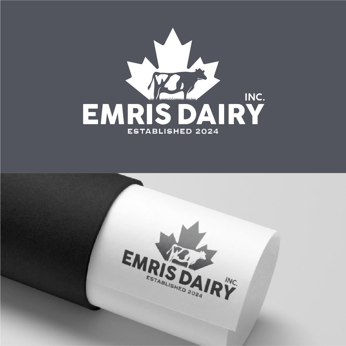 Logo Design by fly  design for this project | Design #34360289