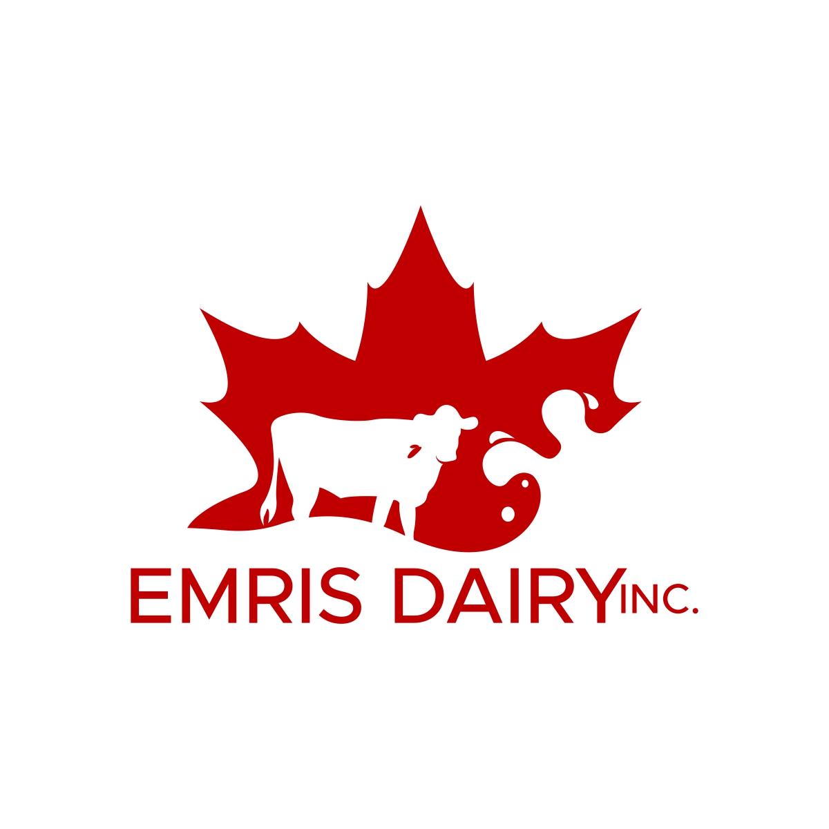 Logo Design by fly  design for this project | Design #34490450