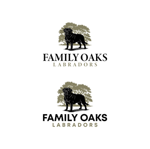 Design de Logo par Ura Designs pour The Journey Southern Illinois | Design : #34410233