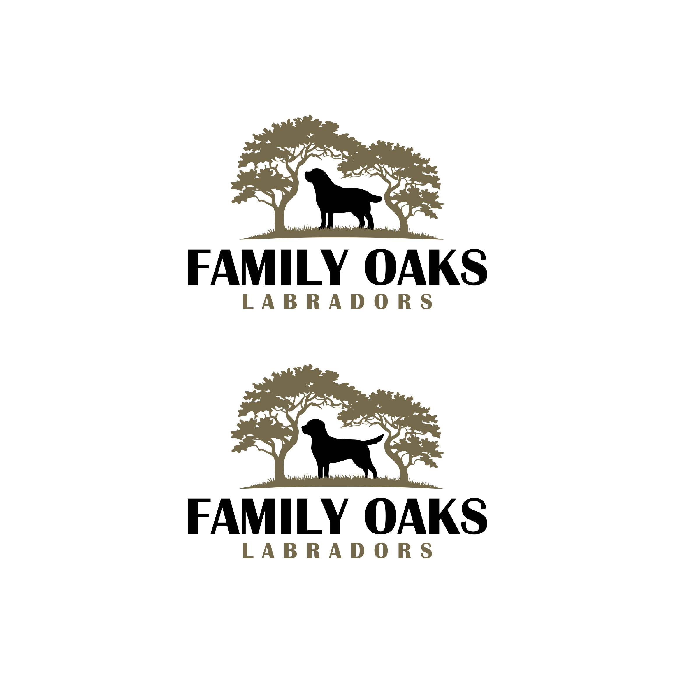 Design de Logo par Ura Designs pour The Journey Southern Illinois | Design : #34410268