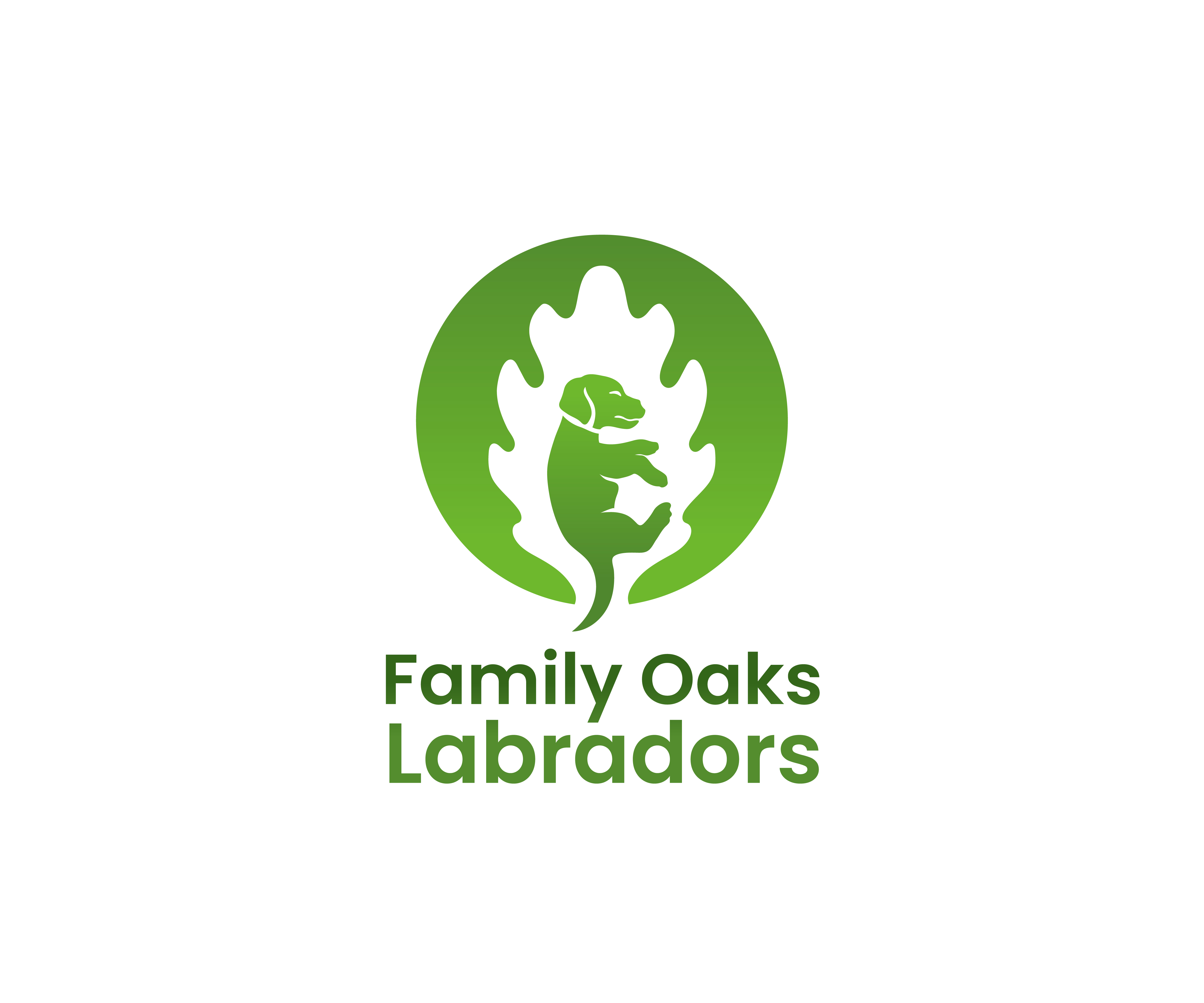 Diseño de Logo por James J. para The Journey Southern Illinois | Diseño #34377726