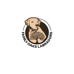 Design de Logo par PaoloP pour The Journey Southern Illinois | Design : #34378489