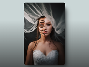 Book Cover Design by Dylan Cookie