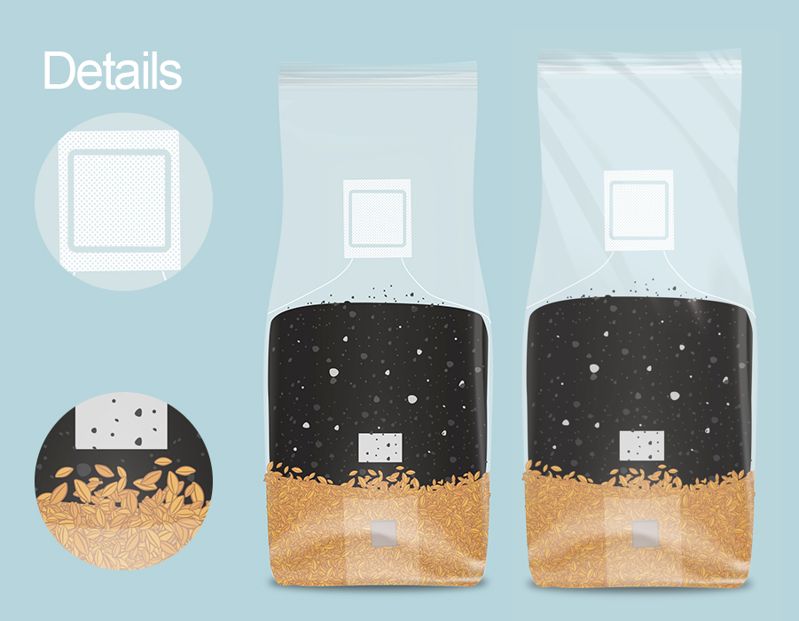 Design Graphique par Tavakoli  pour ce projet | Design #34374168