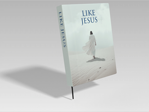 Graphic Design by Jose Loaiza