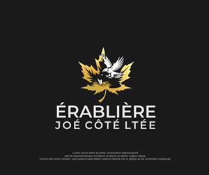 Logo Design by Hanna Designs