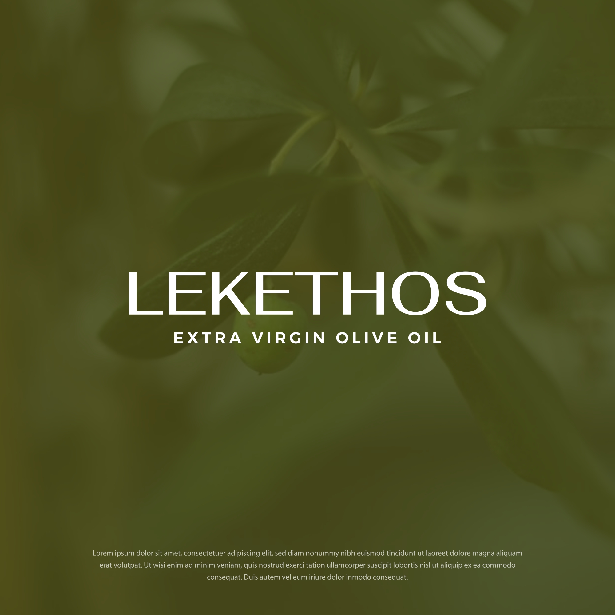 Logo Design by Dotlash for this project | Design #34418175