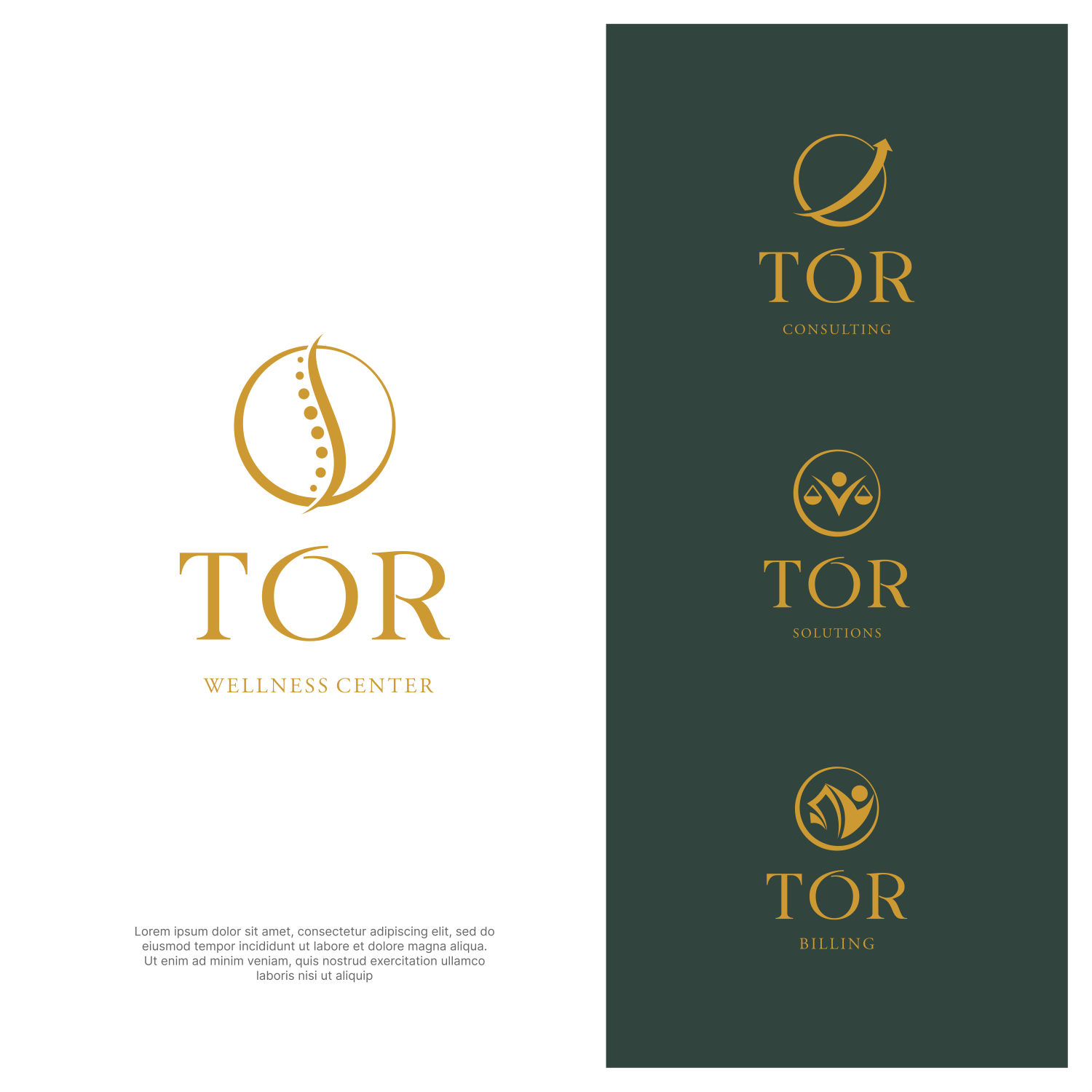 Diseño de Logo por ThiagoB para este proyecto | Diseño #34400527