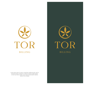 Logo Design by ThiagoB for this project | Design: #34427540