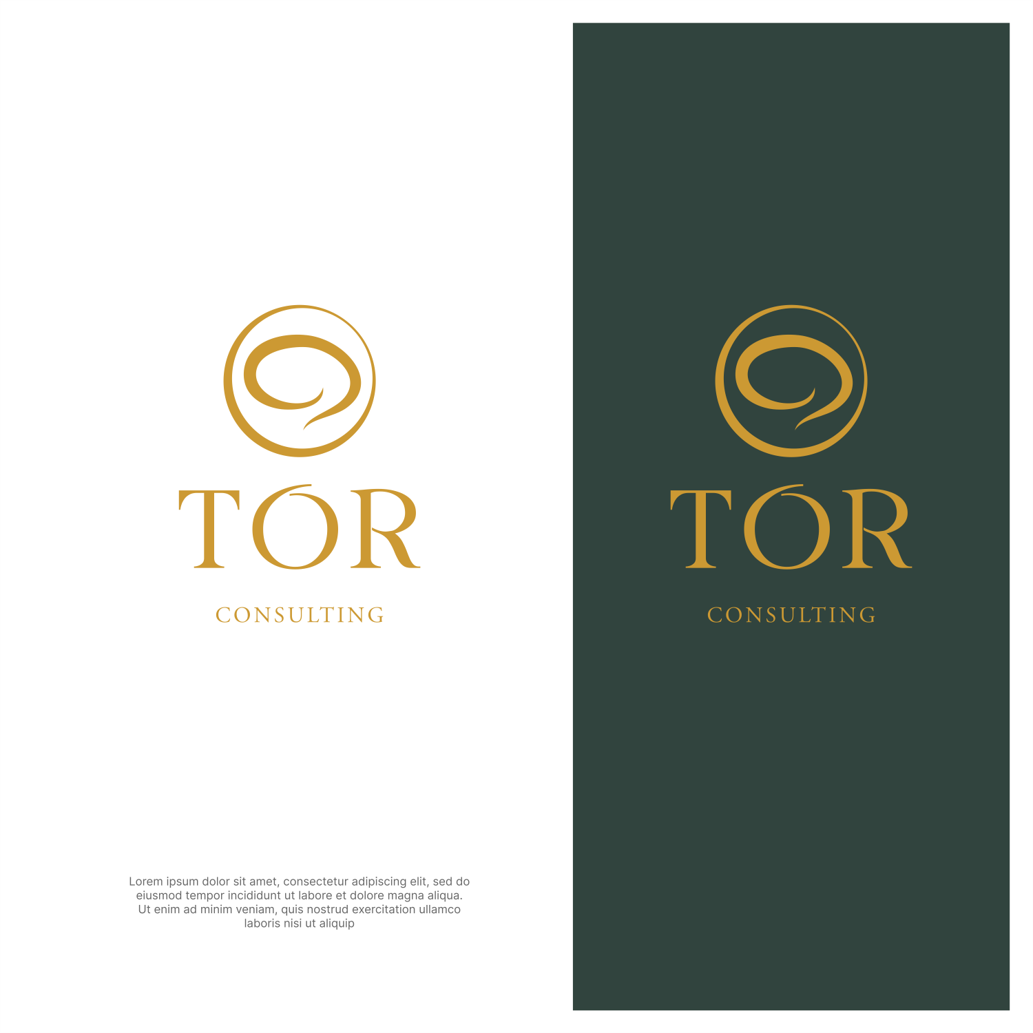 Logo Design by ThiagoB for this project | Design #34427541