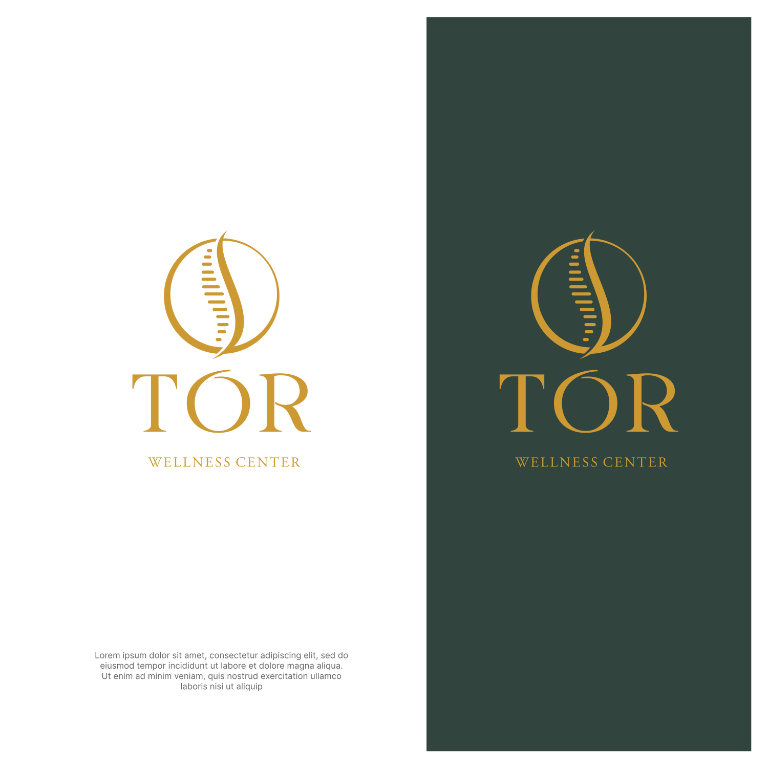 Logo Design by ThiagoB for this project | Design #34427542