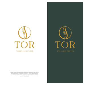 Logo Design by ThiagoB for this project | Design: #34427542