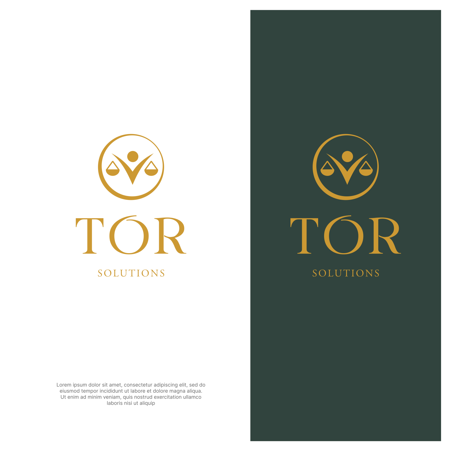 Logo Design by ThiagoB for this project | Design #34427543