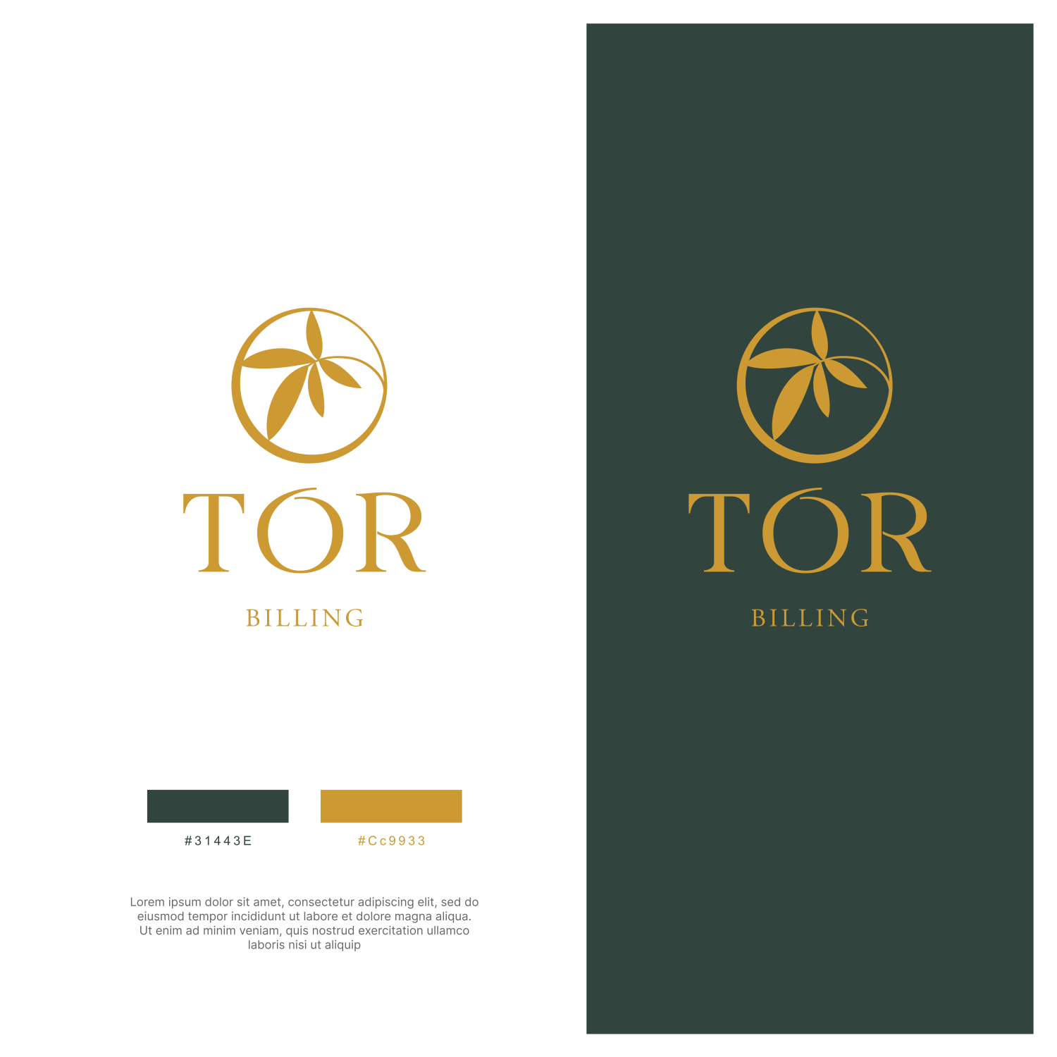 Logo Design by ThiagoB for this project | Design #34427795