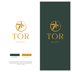 Logo Design by ThiagoB for this project | Design: #34427795