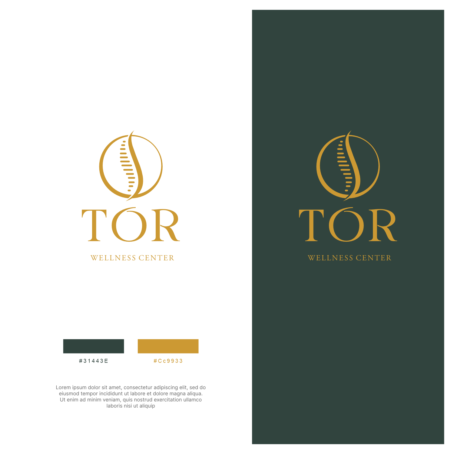 Logo Design by ThiagoB for this project | Design #34448380