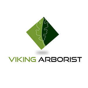 Logo Design by The Creative Forge Studio