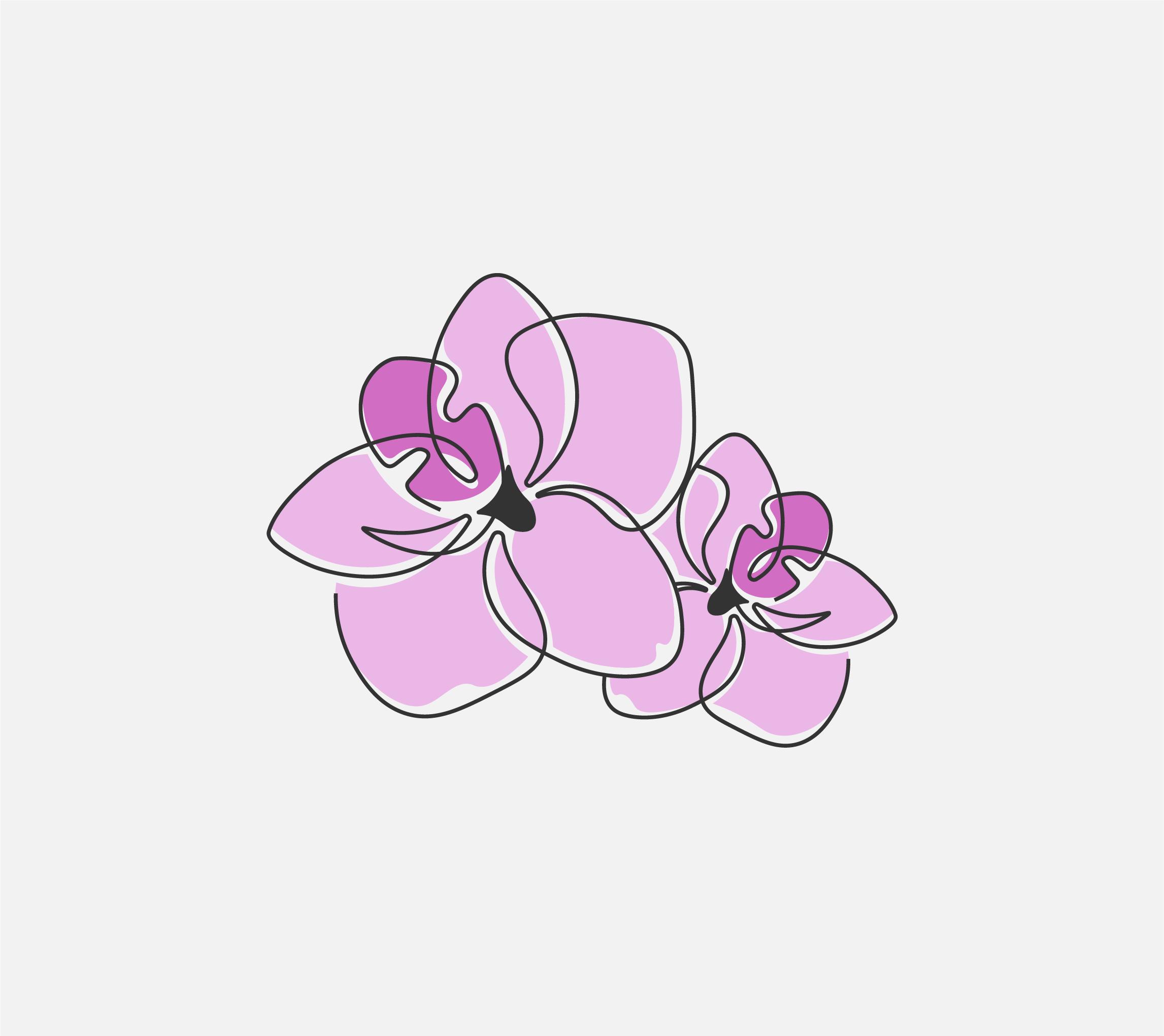 Logo Design by Fezy Design Studio for Cotton & Company | Design #34396228