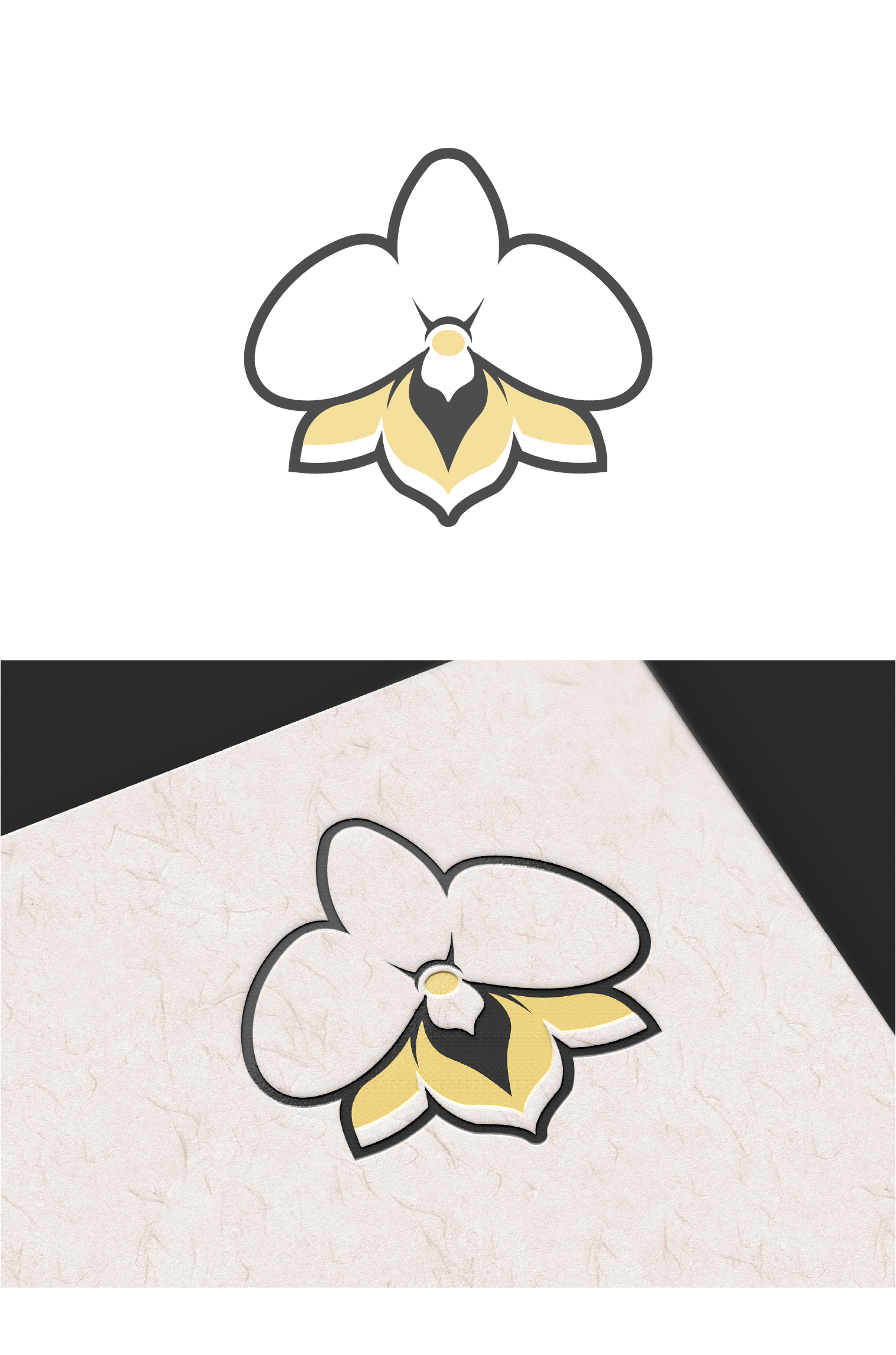 Logo Design by Fezy Design Studio for Cotton & Company | Design #34397849