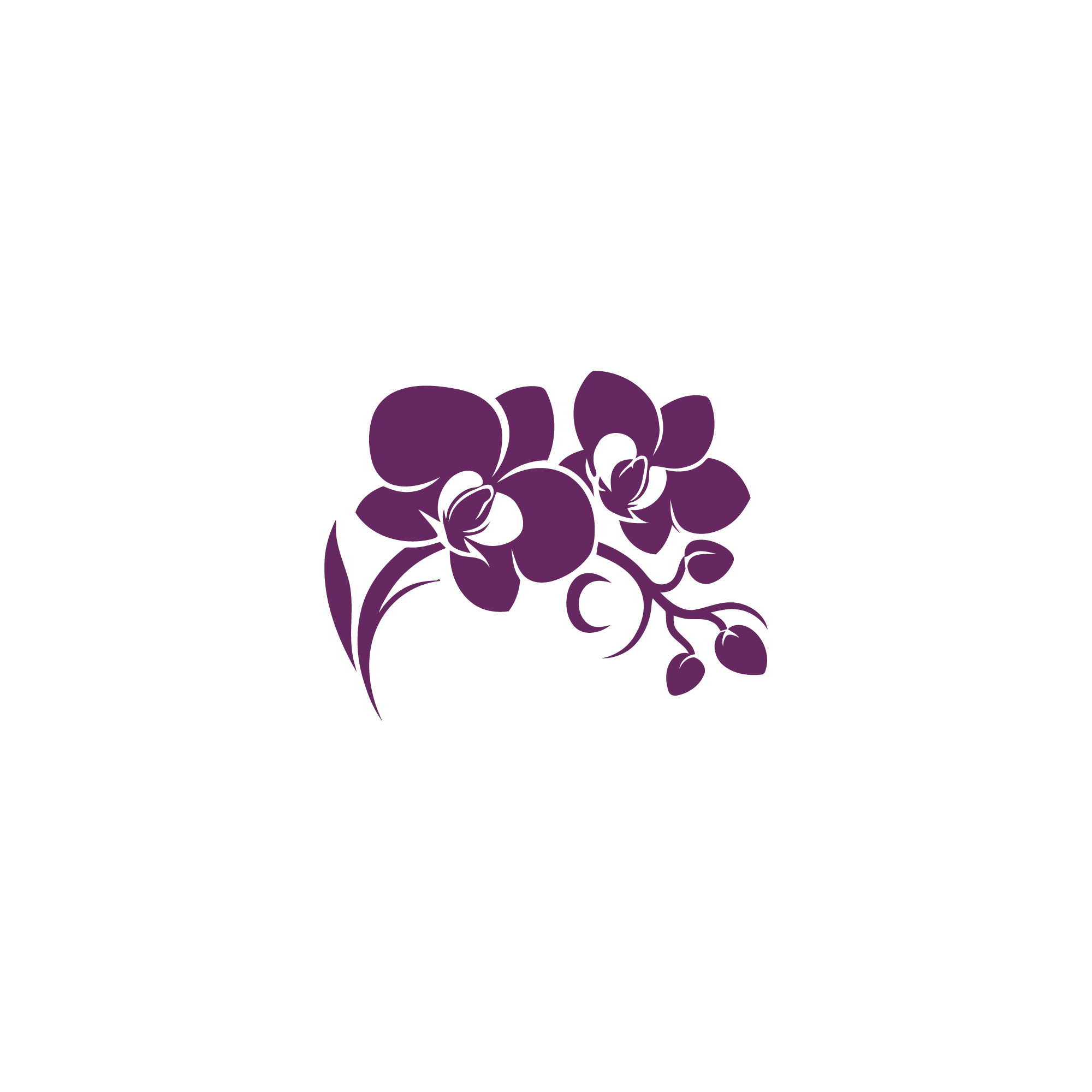 Logo Design by Rosalie.. for Cotton & Company | Design #34396094