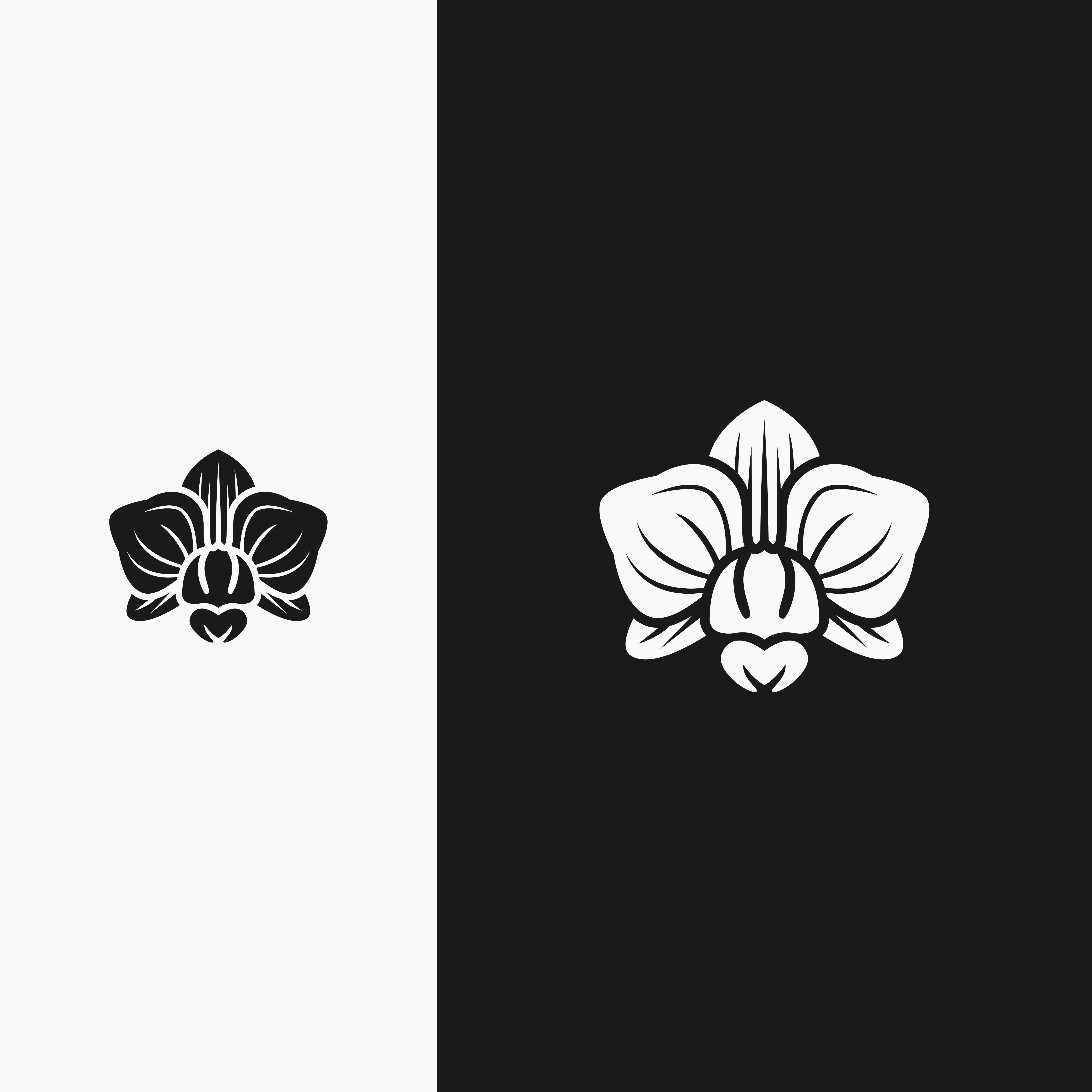 Logo-Design von ramu 6 für Cotton & Company | Design #34553313