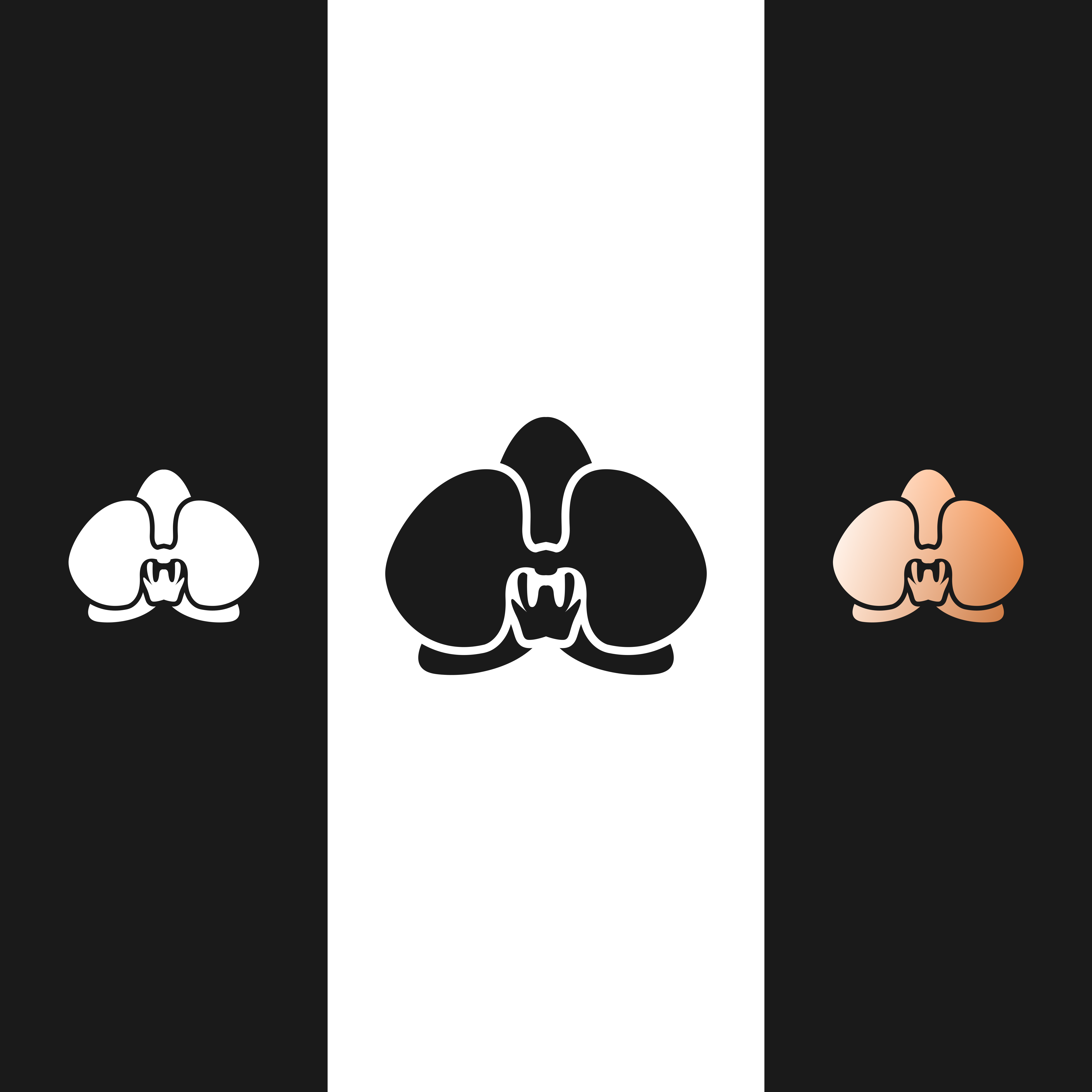 Logo-Design von ramu 6 für Cotton & Company | Design #34563576