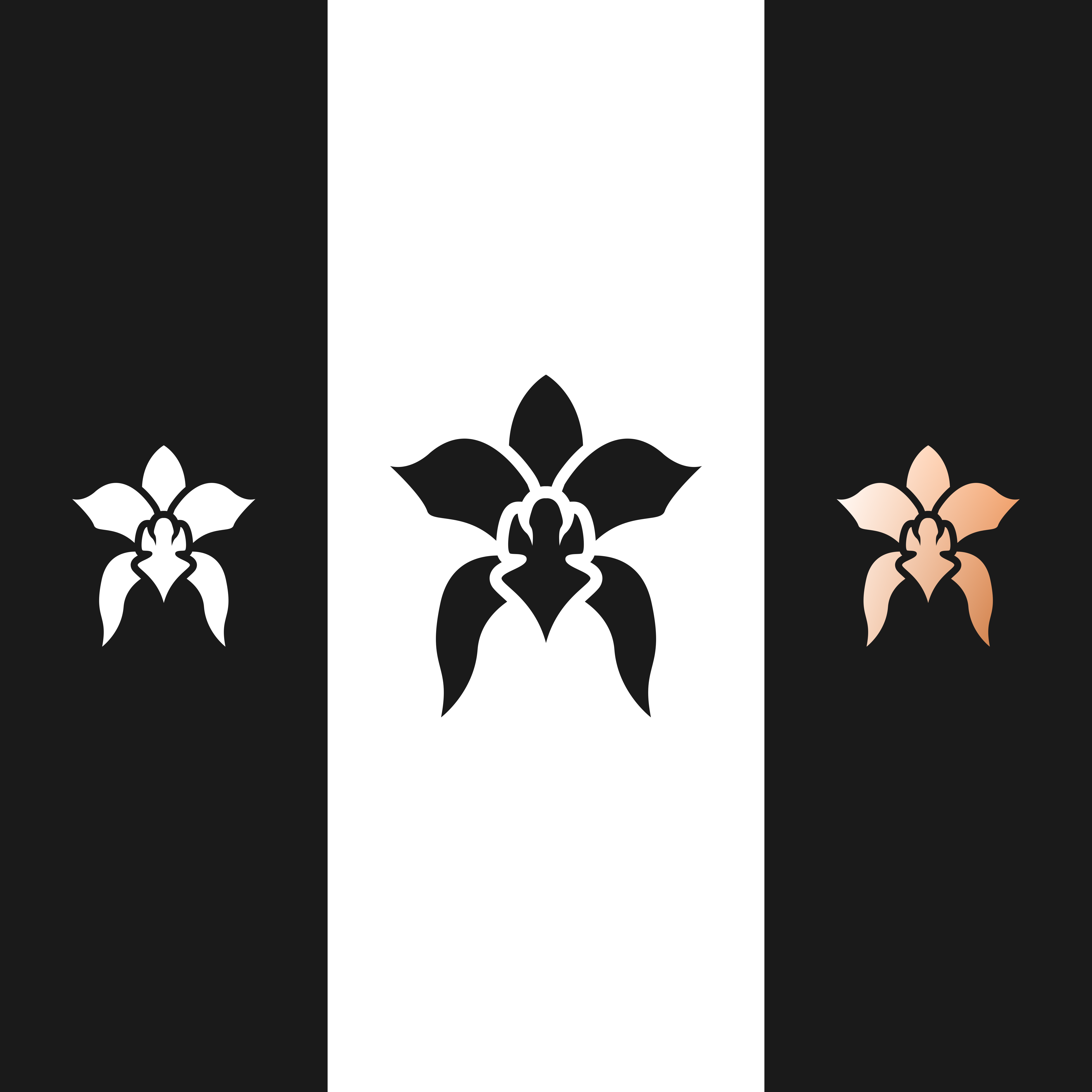 Logo-Design von ramu 6 für Cotton & Company | Design #34563577