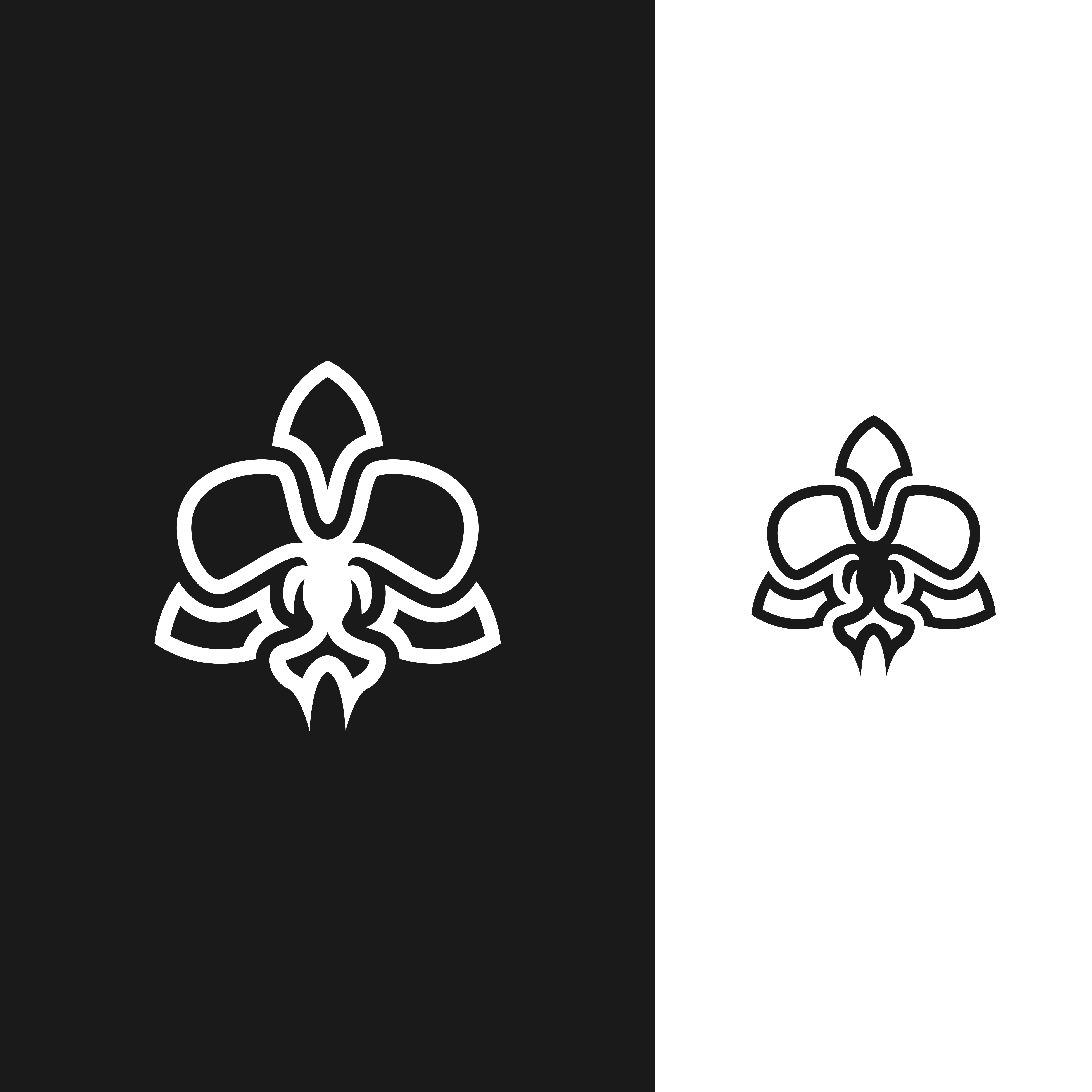Logo Design by ramu 6 for Cotton & Company | Design #34563580