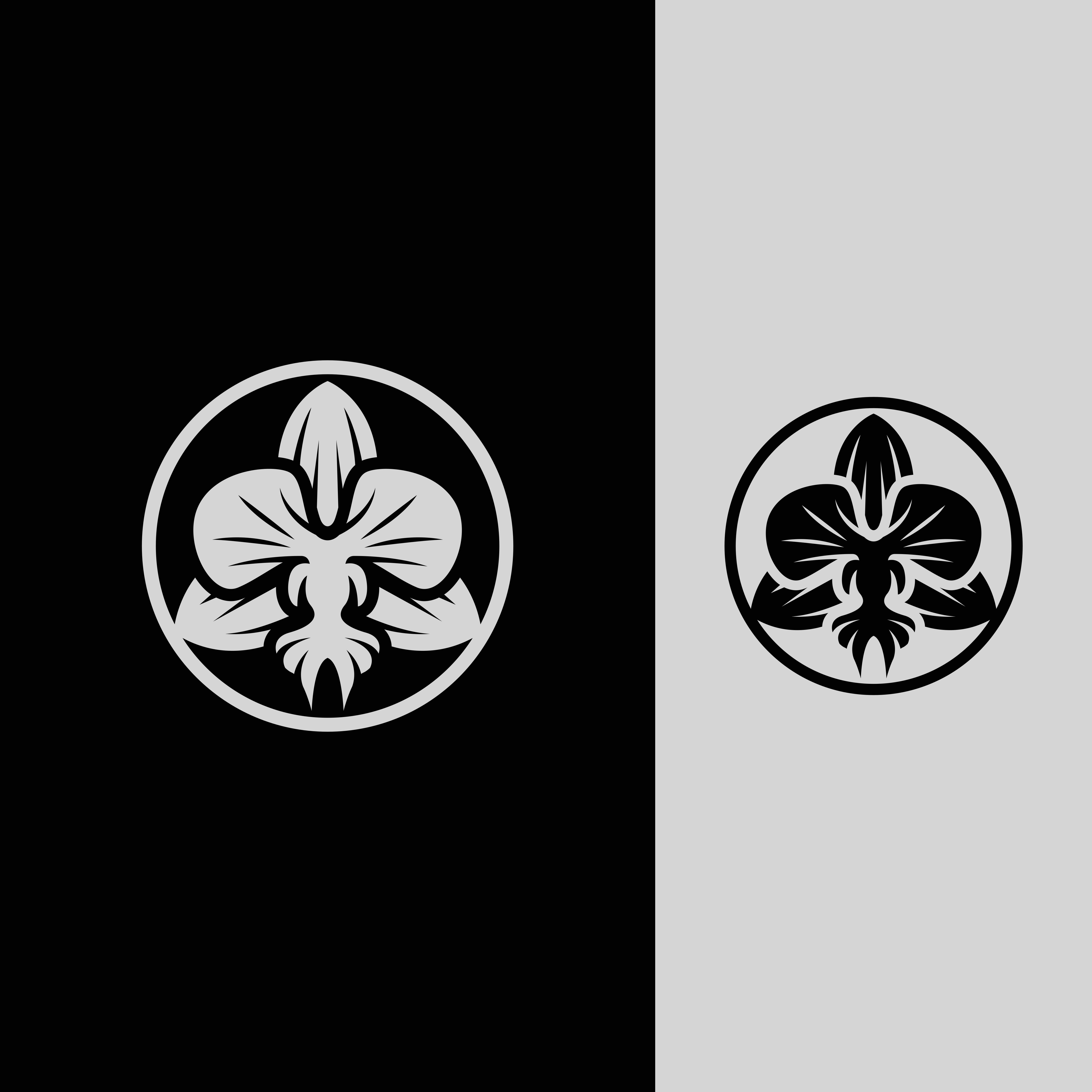 Logo Design by ramu 6 for Cotton & Company | Design #34733989