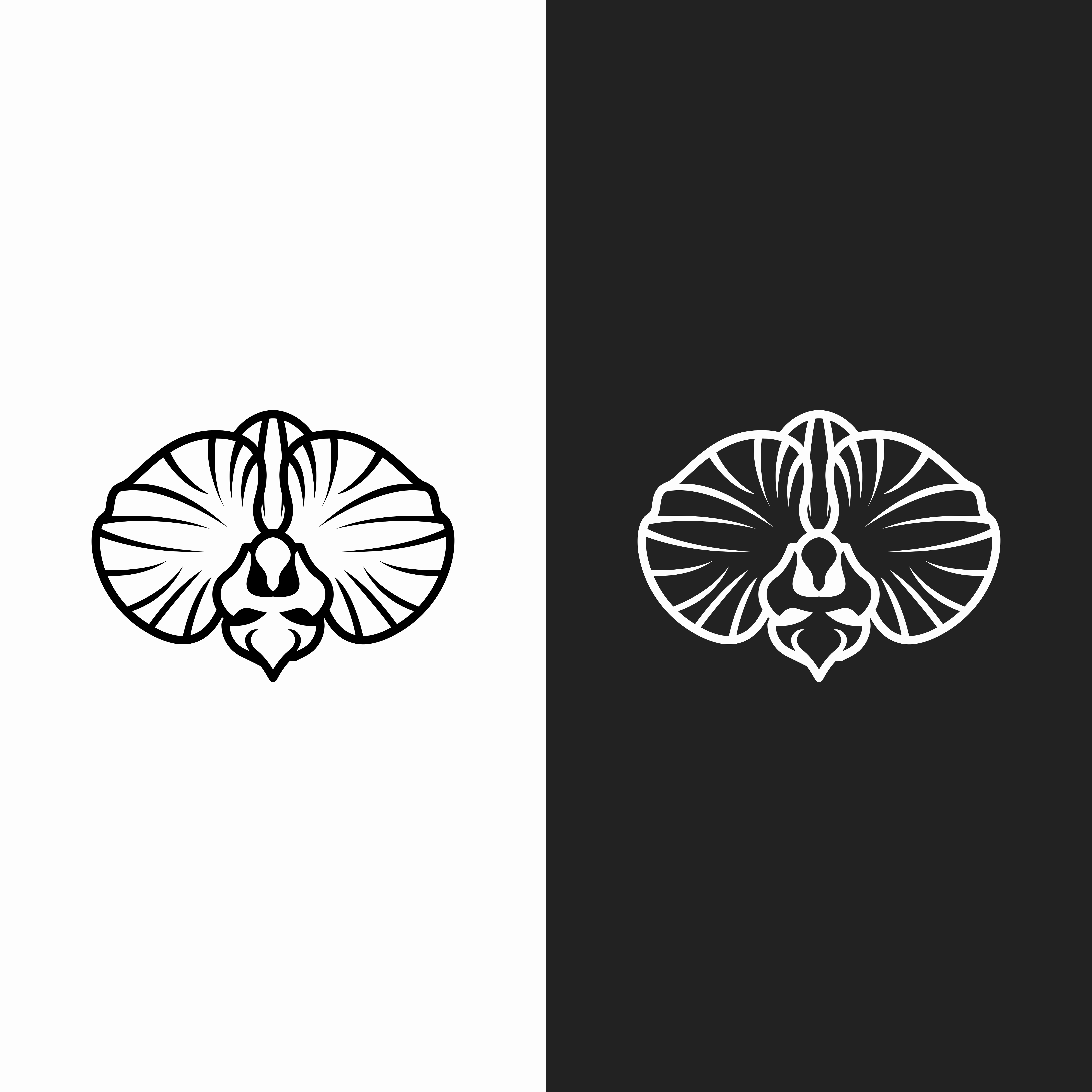 Logo Design by ramu 6 for Cotton & Company | Design #34739993