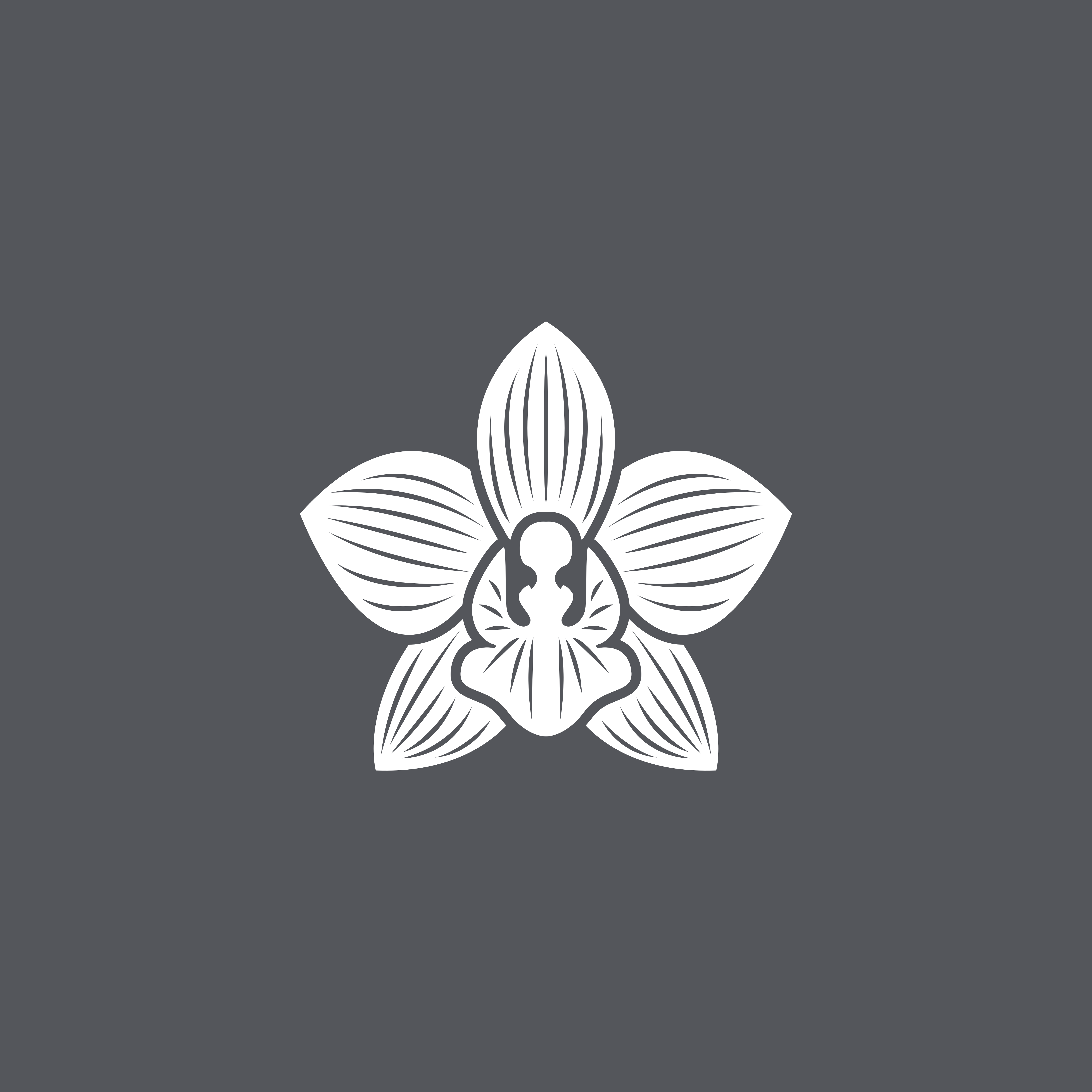 Logo Design by ramu 6 for Cotton & Company | Design #34740269