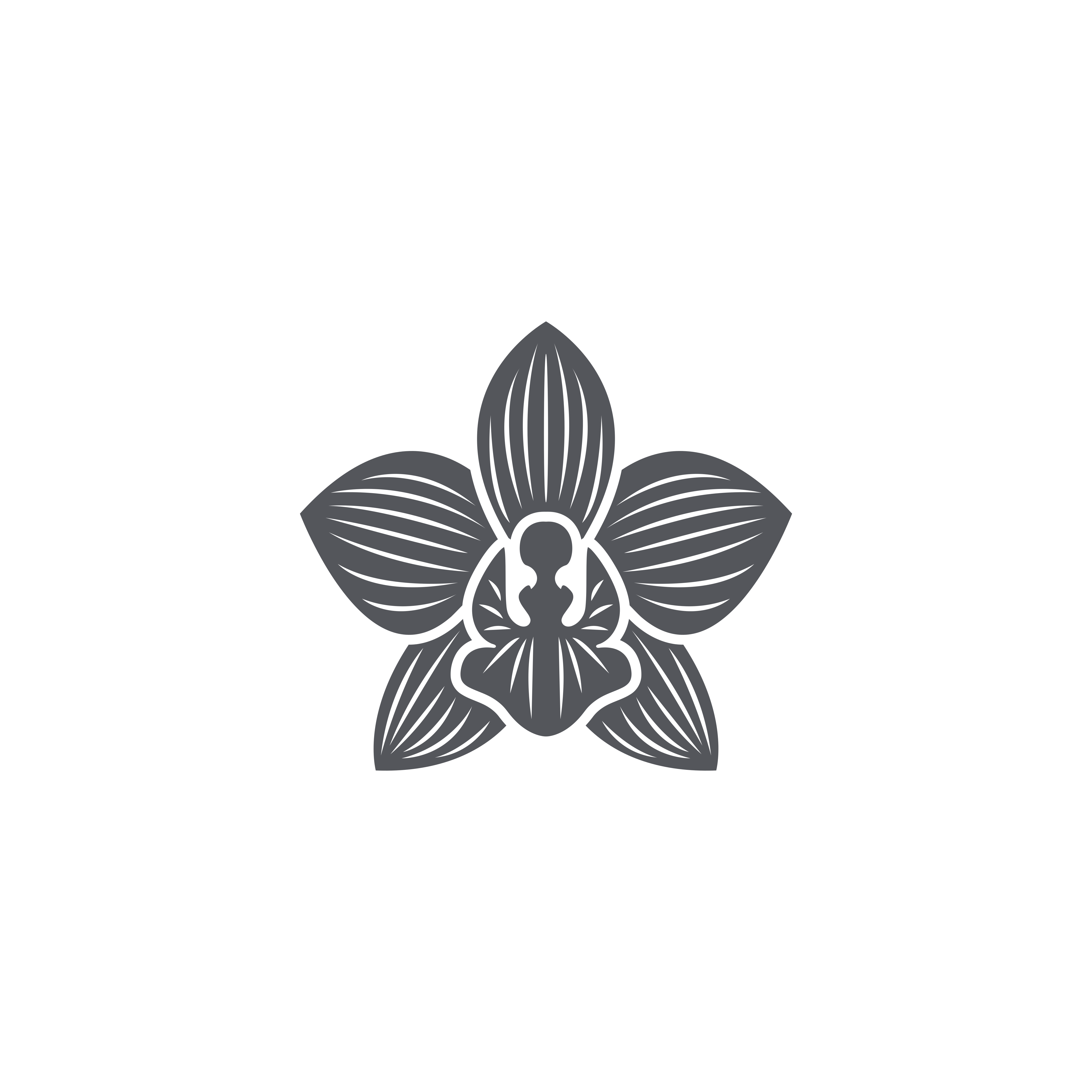 Logo Design by ramu 6 for Cotton & Company | Design #34740270