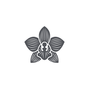 Logo Design by ramu 6 for Cotton & Company | Design: #34740270