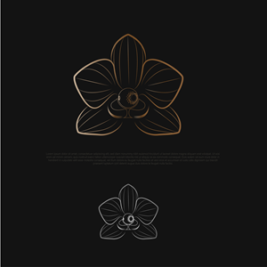 Logo Design by MukendrArt