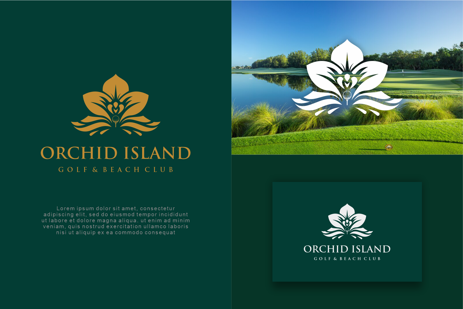 Logo-Design von sabina aiko für Cotton & Company | Design #34427798