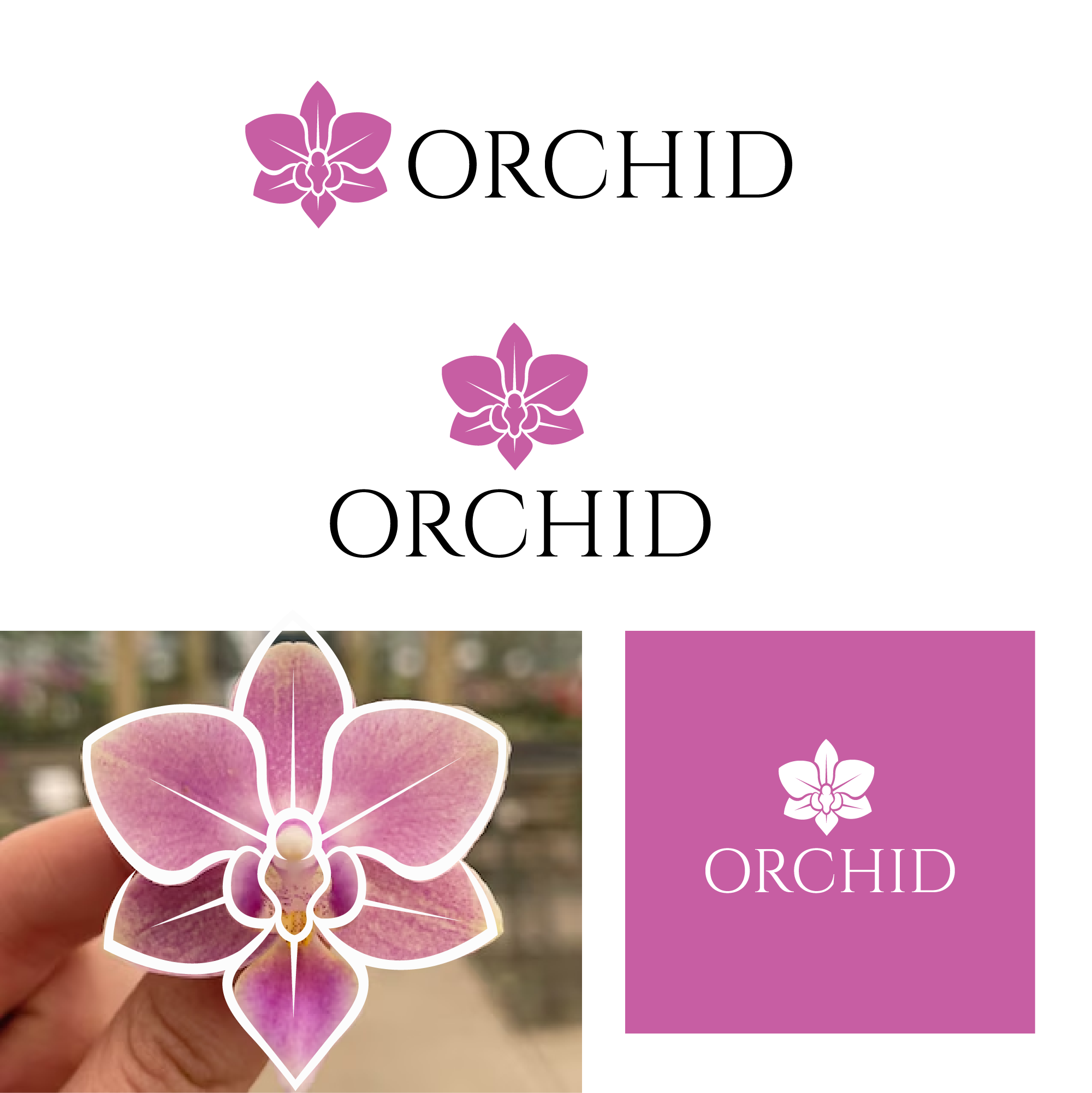 Logo-Design von Graphixpointt für Cotton & Company | Design #34394356